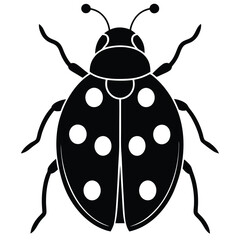 lady beetle vector icon