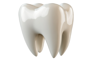 Bright white isolated tooth showing detailed structure in transparent background highlighted in low resolution depicting dental health and hygiene aspects