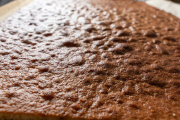 Baked cake base in a golden brown color. The irregular surface is crispy and slightly domed.