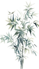 Obraz premium Vector watercolor painted bamboo. Hand drawn flower design elements isolated on white background.