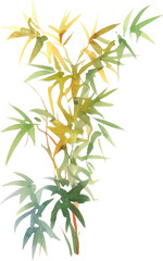 Naklejka premium Vector watercolor painted bamboo. Hand drawn flower design elements isolated on white background.