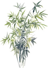 Obraz premium Vector watercolor painted bamboo. Hand drawn flower design elements isolated on white background.