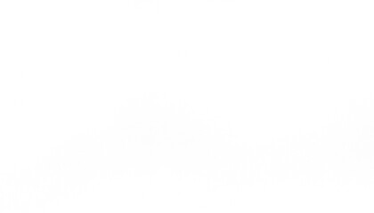 Transparent distressed white grainy texture with dust overlay textured. Grainy noise white particles and snow effect on a transparent background.