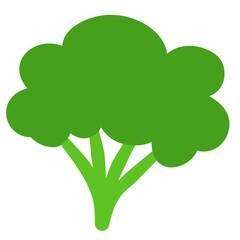 Fresh Green Broccoli