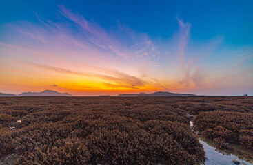 The horizon glows with fading sunlight as clouds streak across the sky, reflecting softly on...