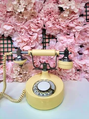 Old fashioned phone  and roses. © vaso
