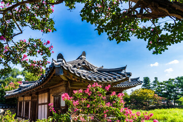 Beautiful scenery of Iyodang Pavilion at Seochulji Pond in Gyeongju, South Korea, with crape myrtle flowers in full bloom during summer