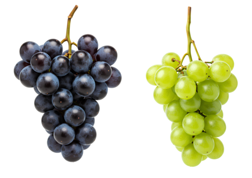 Black and green grapes PNG isolated on transparent background. Fresh bunch of green grapes isolated for food and drink designs. Muscat grapes PNG. Thompson seedless green grapes isolated