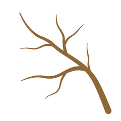 Dry Tree Branches