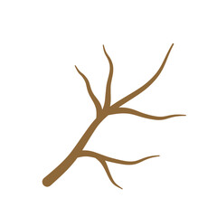 Obraz premium Dry Tree Branches