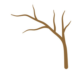 Dry Tree Branches
