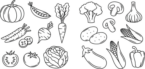 Vegetables illustration, pumpkin, peas, carrots, turnip, radish, lettuce, tomatoes, cabbage, broccoli, mushrooms, garlic, potatoes, eggplant, corn, bell pepper, healthy food, kitchen ingredient