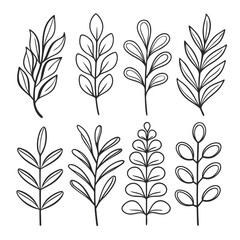 Collection of hand drawn botanical leafy branches