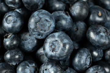 Macro View of Organic Blueberries. Natural Berry Background.