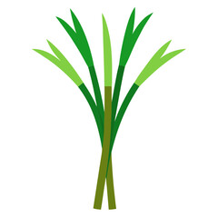Obraz premium Vector art of bunch of green grass