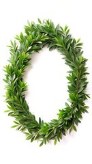 Evergreen leaves forming a circular wreath shape on a plain white surface