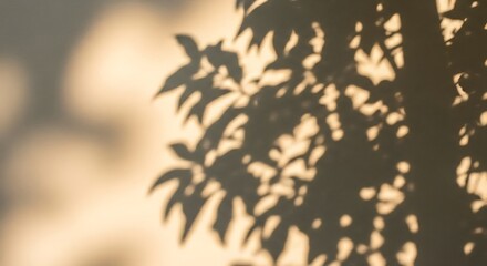 Fototapeta premium The interplay of light and shadow creates a captivating visual as tree leaves cast intricate patterns on a sunlit wall, evoking a sense of natures beauty