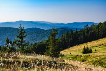 Wędrówka po Beskidzie Żywieckim © Aleksandra