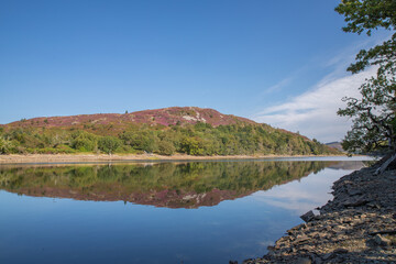 Llyn Cynwch in North Wales, UK, with heather on the mountains