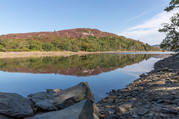 Llyn Cynwch in North Wales, UK, with heather on the mountains