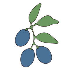 Fresh Plum Fruit Icon. Abstract Fresh Colorful Vibrant Berry Element Graphic Design. 