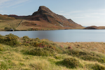 Cregennan Lakes in North Wales, UK, with heather on the mountains