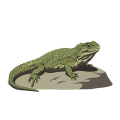 Obraz premium A detailed illustration of a tuatara lizard resting atop a muted gray rock against a plain black background.