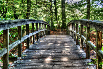 Wooden bridge in the forest over a river in the afternoon sun