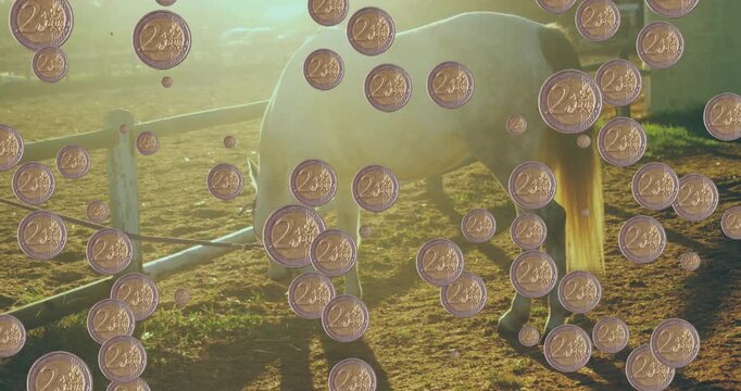 Animation of coins over horse
