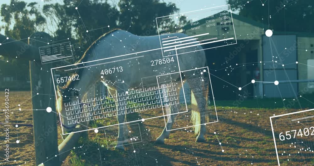 Poster animation of data processing over horse