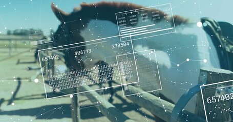 Animation of data processing over horses at homestead - Powered by Adobe