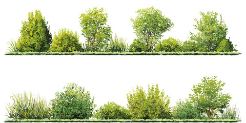 Green Bushes and Trees Vector Set – Realistic Foliage Collection for Landscape Design on White Background © appl