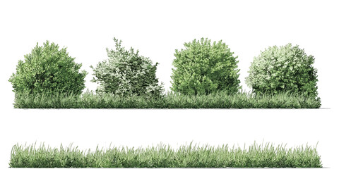 Obraz premium Colorful Tree Set on White Background - Vector, Vector illustration of greenery, tree shapes, nature collections, tree nature watercolor on a white background.