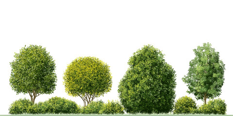 Vector illustration of isolated trees, environmental woods collection, Tree shapes, greenery vector, nature collections, of green tree, plan side view for landscape elevation whit background © appl