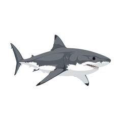 Obraz premium A stylized illustration of a great white shark against a stark black background, showcasing its powerful form and sharp teeth.