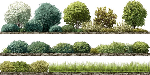 Collection of green trees pine and deciduous forest trees, Vector illustration of an architectural tree for landscape vector design on transparent background  © appl