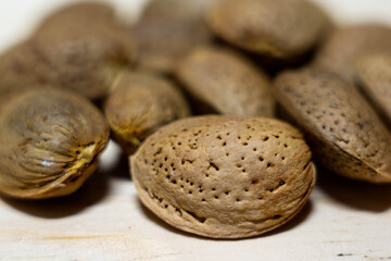 Close-up of various brown almond shells scattered on a light wooden surface, showcasing their unique textures and natural patterns, ideal for culinary or agricultural themes