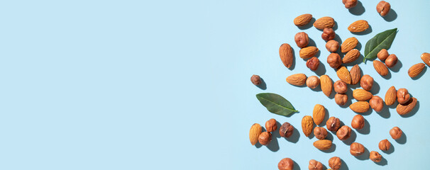Scattered nuts hazelnuts and almonds on blue background flat lay top view. Food background. Tasty healthy snack, appetizer. Peeled nut kernels, dried fruit. Space for text. Long banner