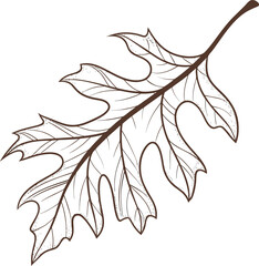 Vector illustration of an autumn maple leaf on a branch