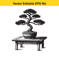 Detailed sketch of a bonsai tree on a wooden table isolated on white background