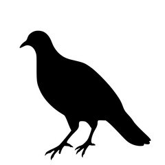 Obraz premium Solid black dove perched silhouette logo symbol vector illustration design sign icon character on white background.