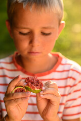 Boy is playing with fig halves against her face in warm summer sunlight, laughing joyfully,...