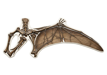 Obraz premium Detailed illustration of a prehistoric pterosaur wing's skeletal structure, showcasing intricate bone details and wing membrane, set against a stark black backdrop.