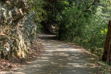 夏のハイキングコースの涼しい木陰と木漏れ日が差す道