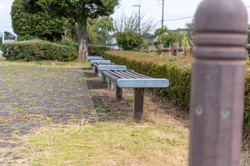 夏の公園のベンチの風景