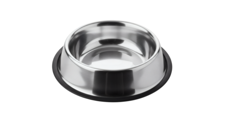 Sleek stainless steel pet bowl ready for tasty food on a contrasting black background.