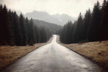 Long empty road stretching into foggy forest with tall evergreen trees and distant misty mountains under overcast sky