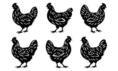 Set of black silhouettes of chicken isolated on white background. Vector illustration.