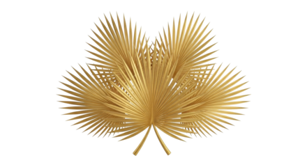 A luxurious arrangement of golden fan palm fronds isolated against a clean white background.