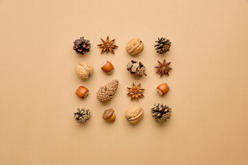Variety of coniferous cones, nuts and anise on beige background. Flat lay, top view.